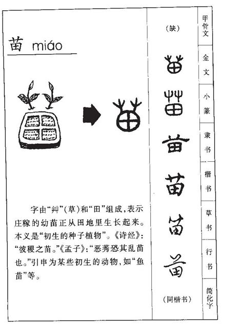 苗字意思|苗姓